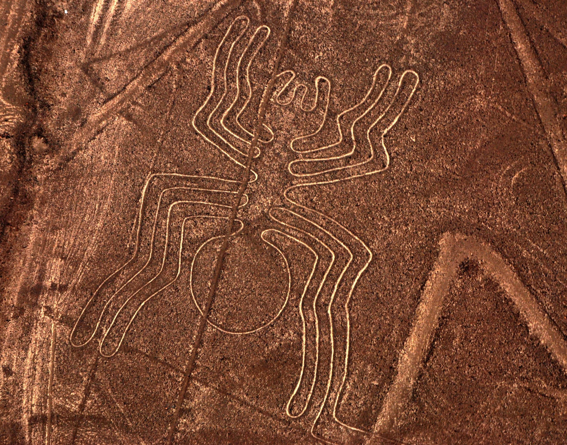 The Nazca Lines Background