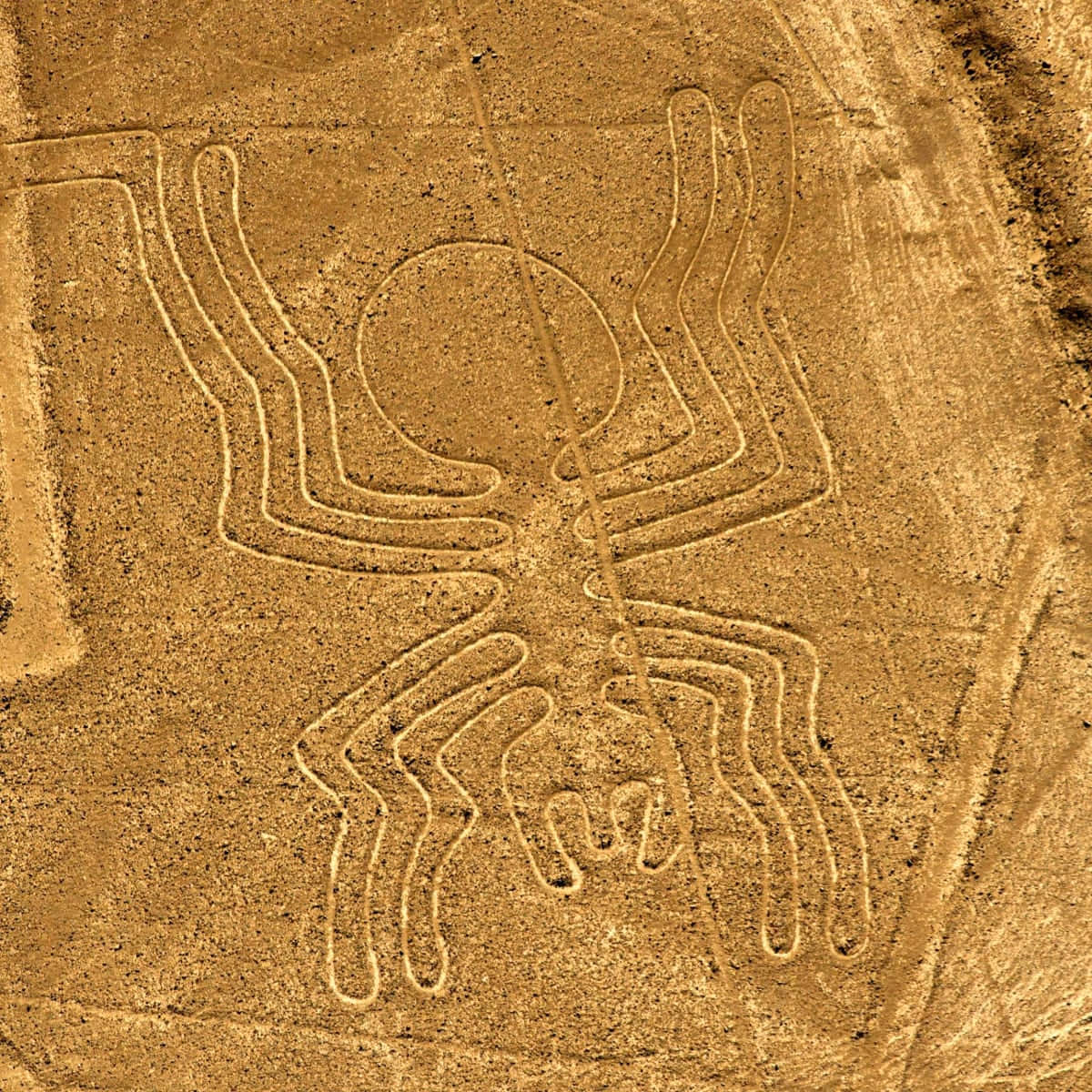 The Nazca Lines Background