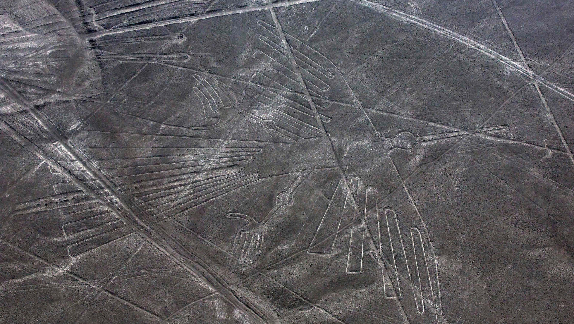 The Nazca Lines Background