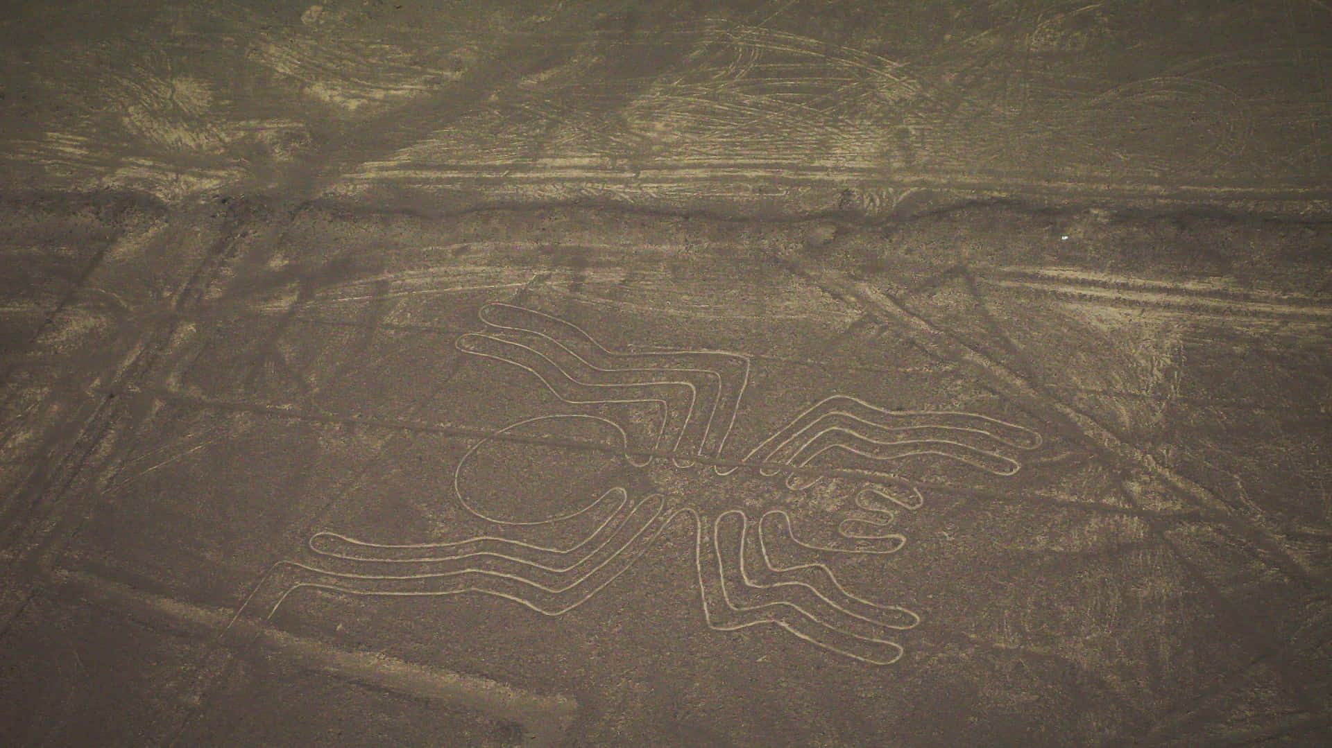 The Nazca Lines Background