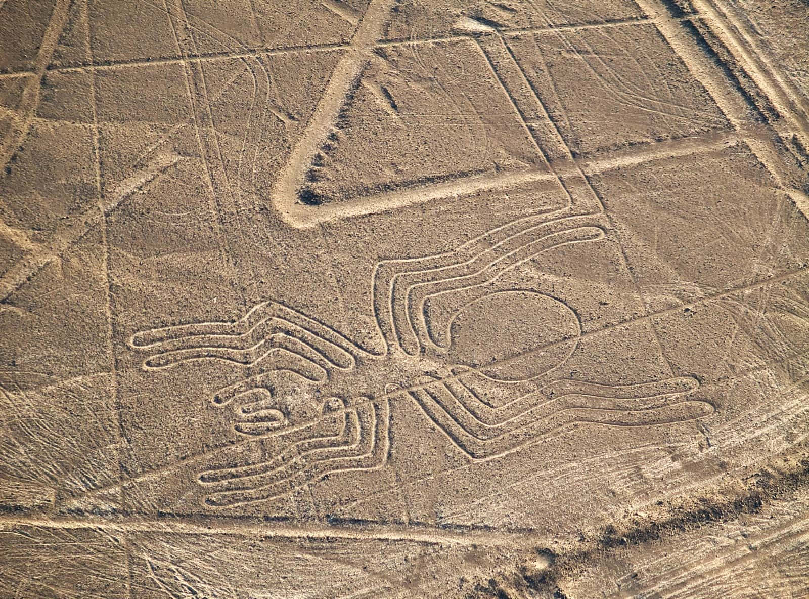 The Nazca Lines Background