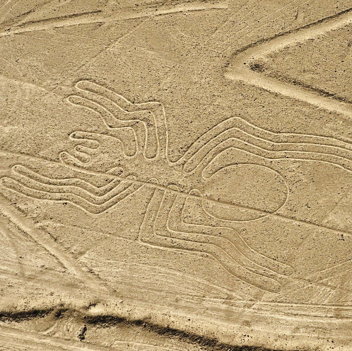 The Nazca Lines Background