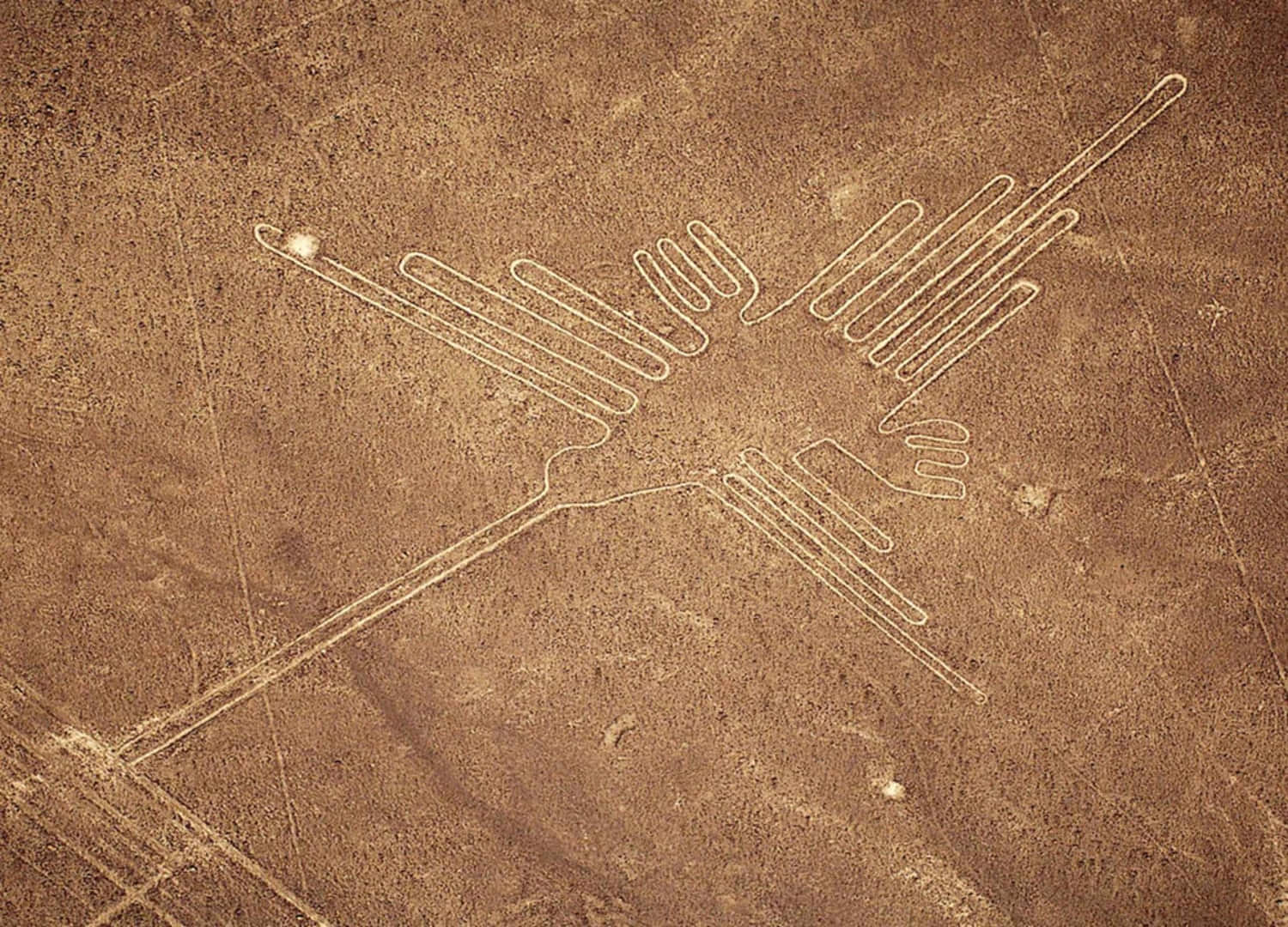 The Nazca Lines Background