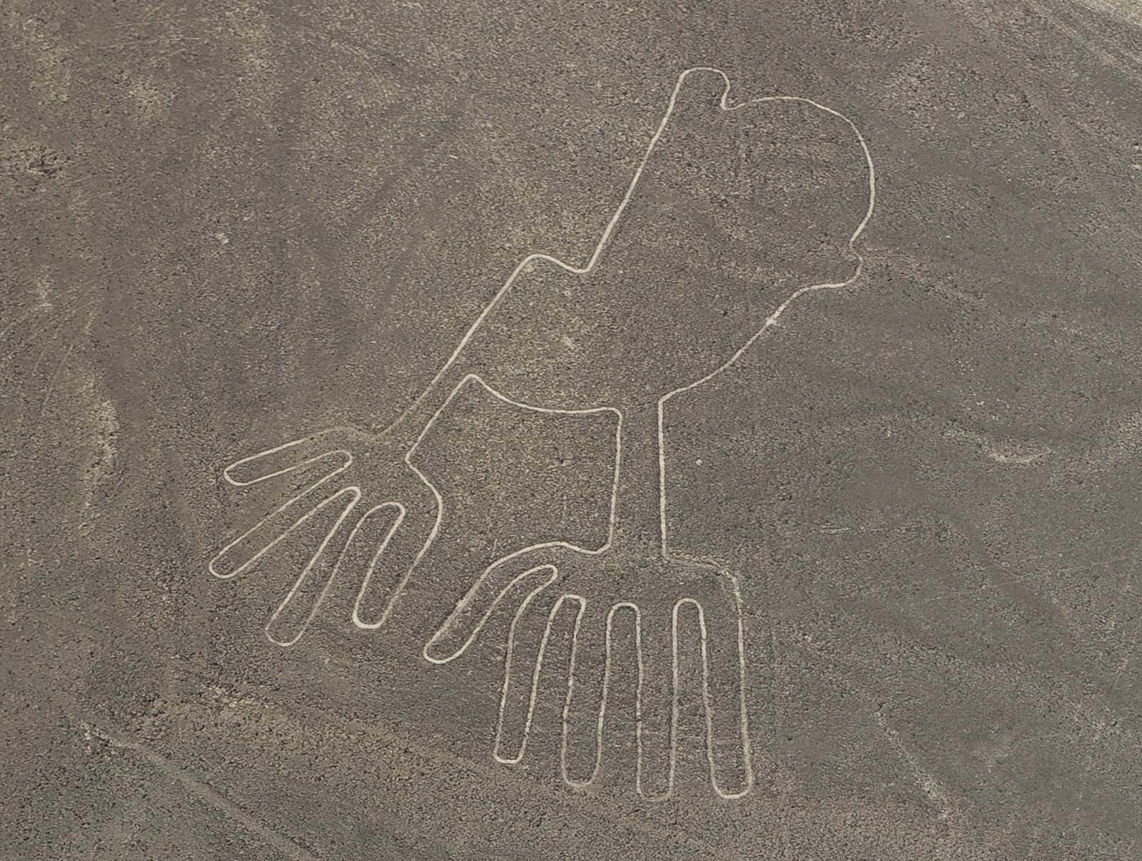 The Nazca Lines Background