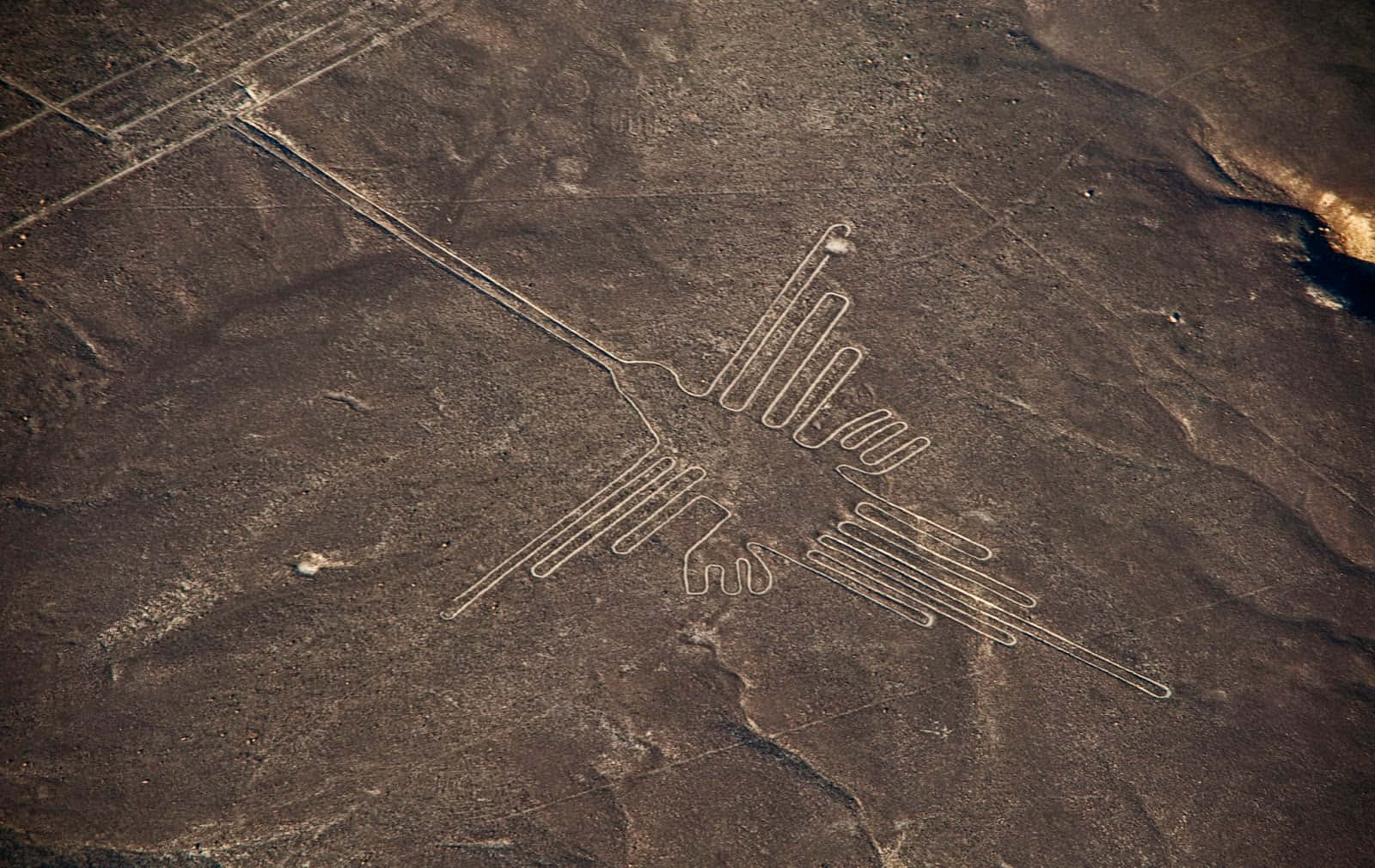 The Nazca Lines Background