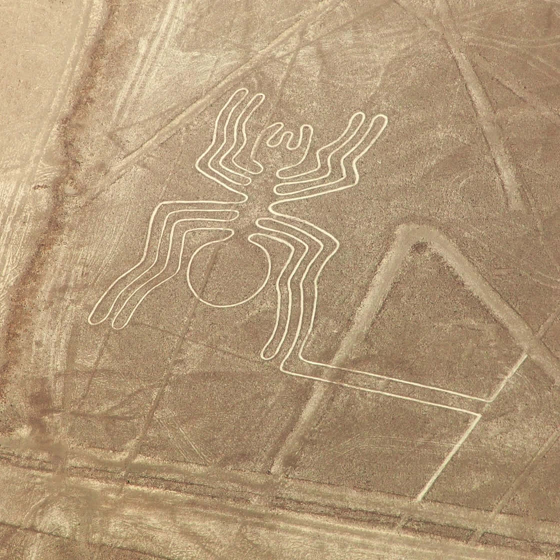 The Nazca Lines Background