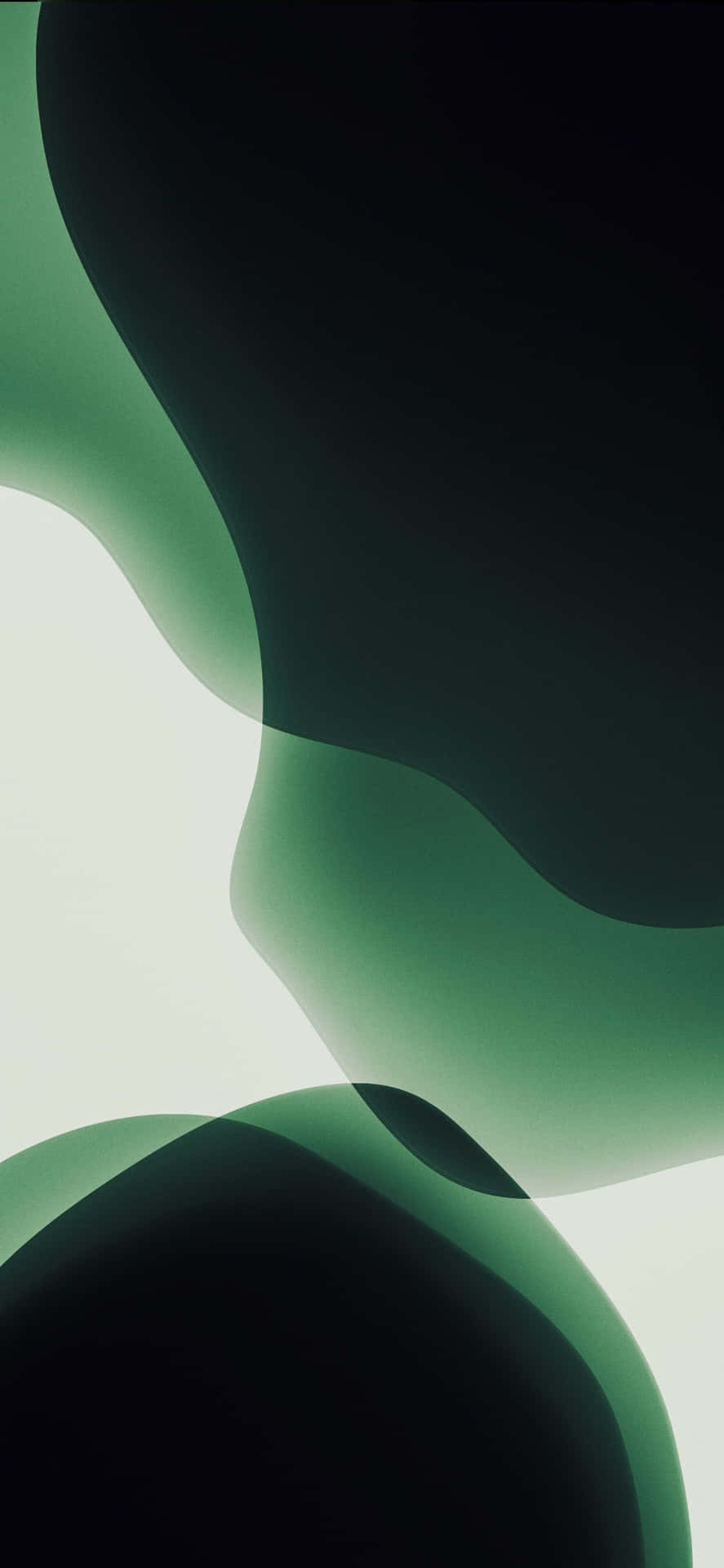 The Newest And Most Vibrant Addition To The Iphone 11 Lineup - The Iphone 11 Green Background