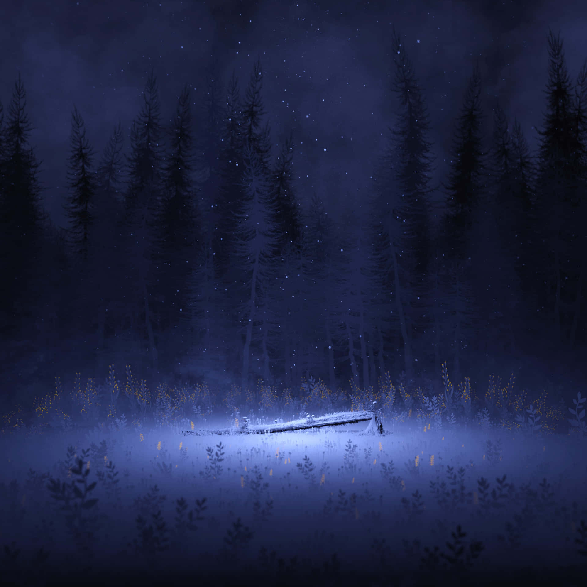 The Night Forest Background