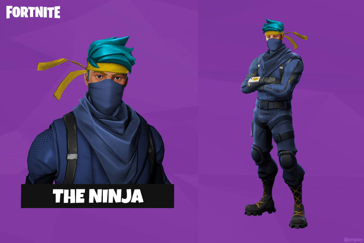 The Ninja Fortnite Background
