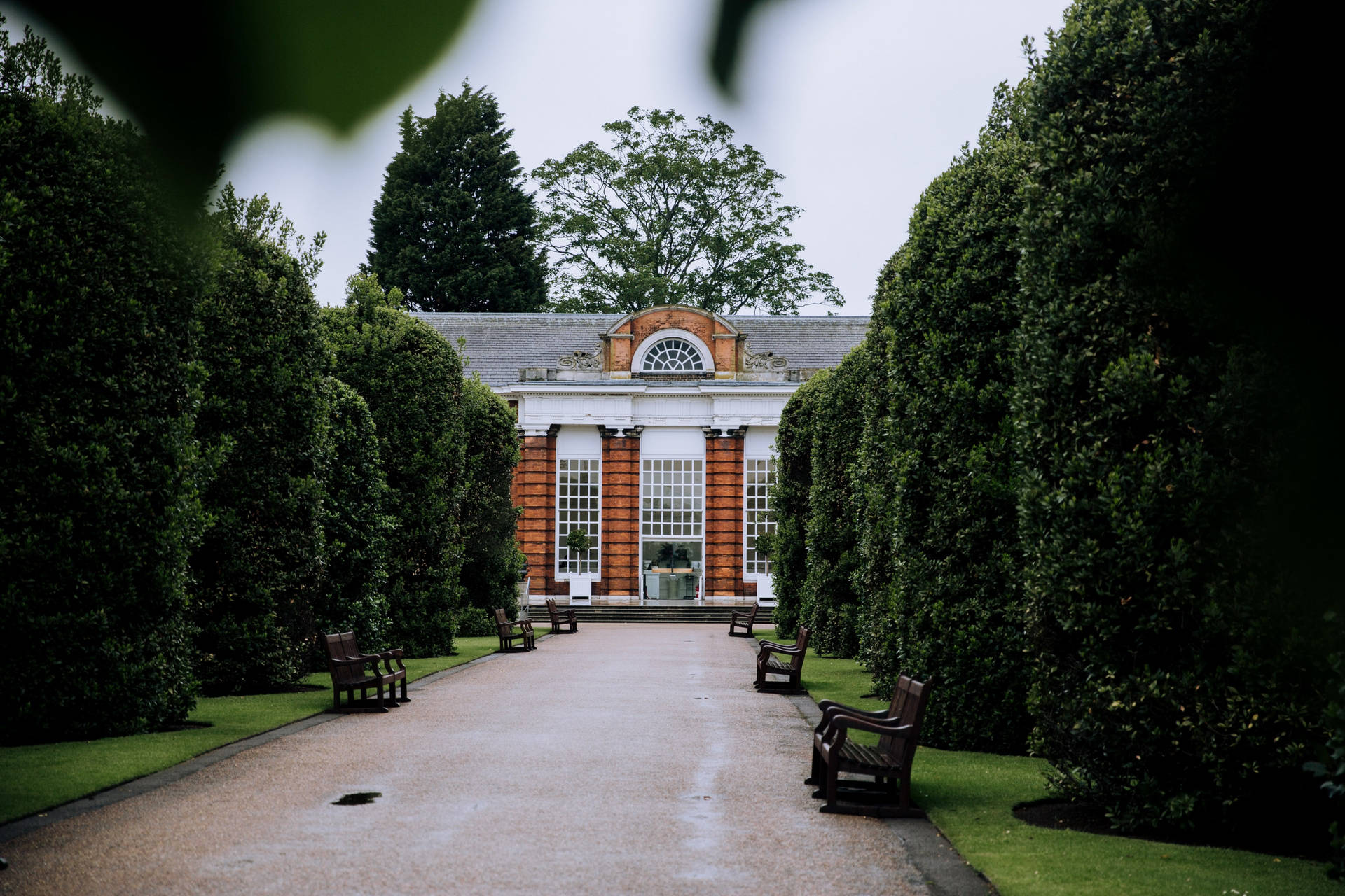 The Orangery Inside Kensington Palace Background