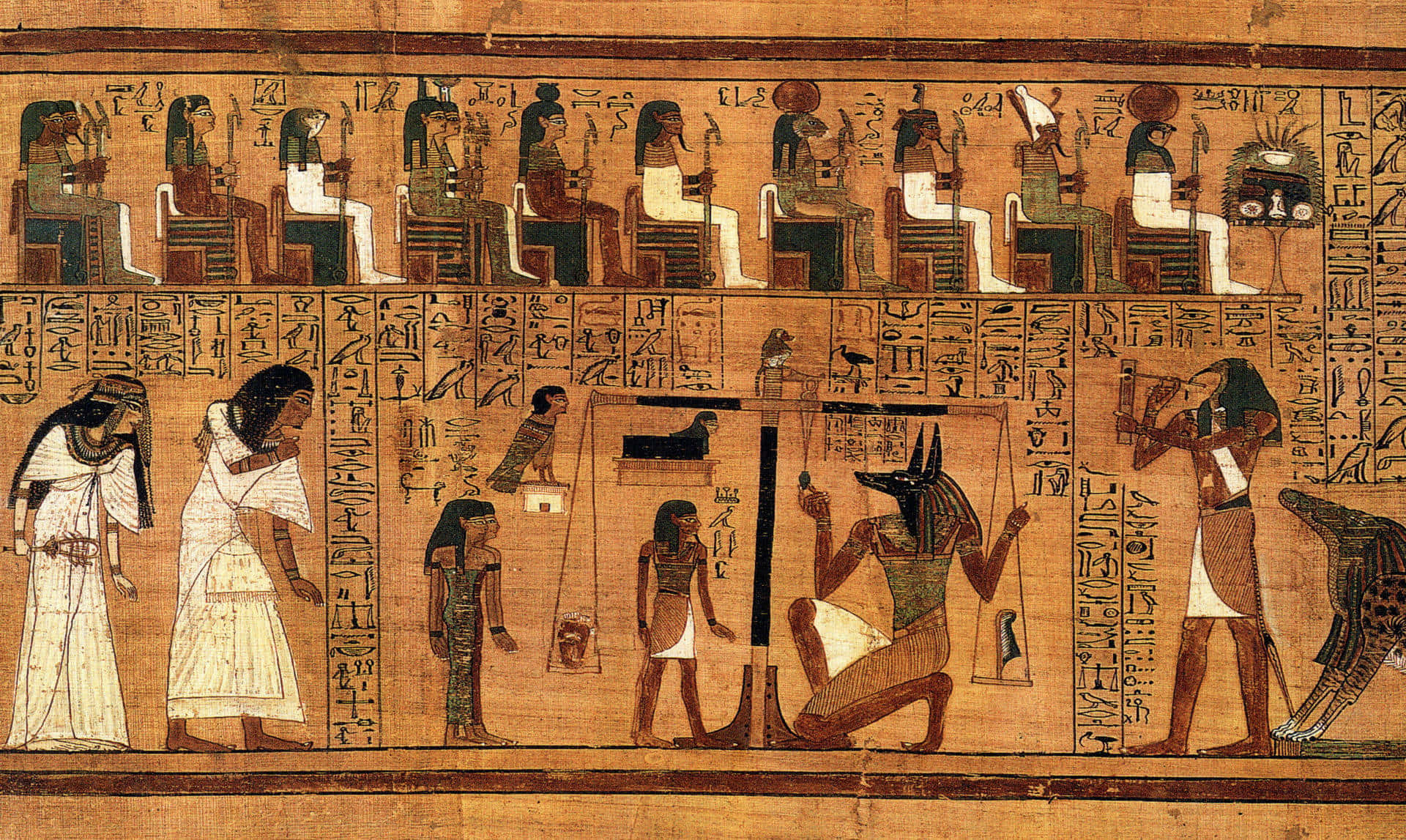 The Papyrus Of Ani Inside Egyptian Museum Background