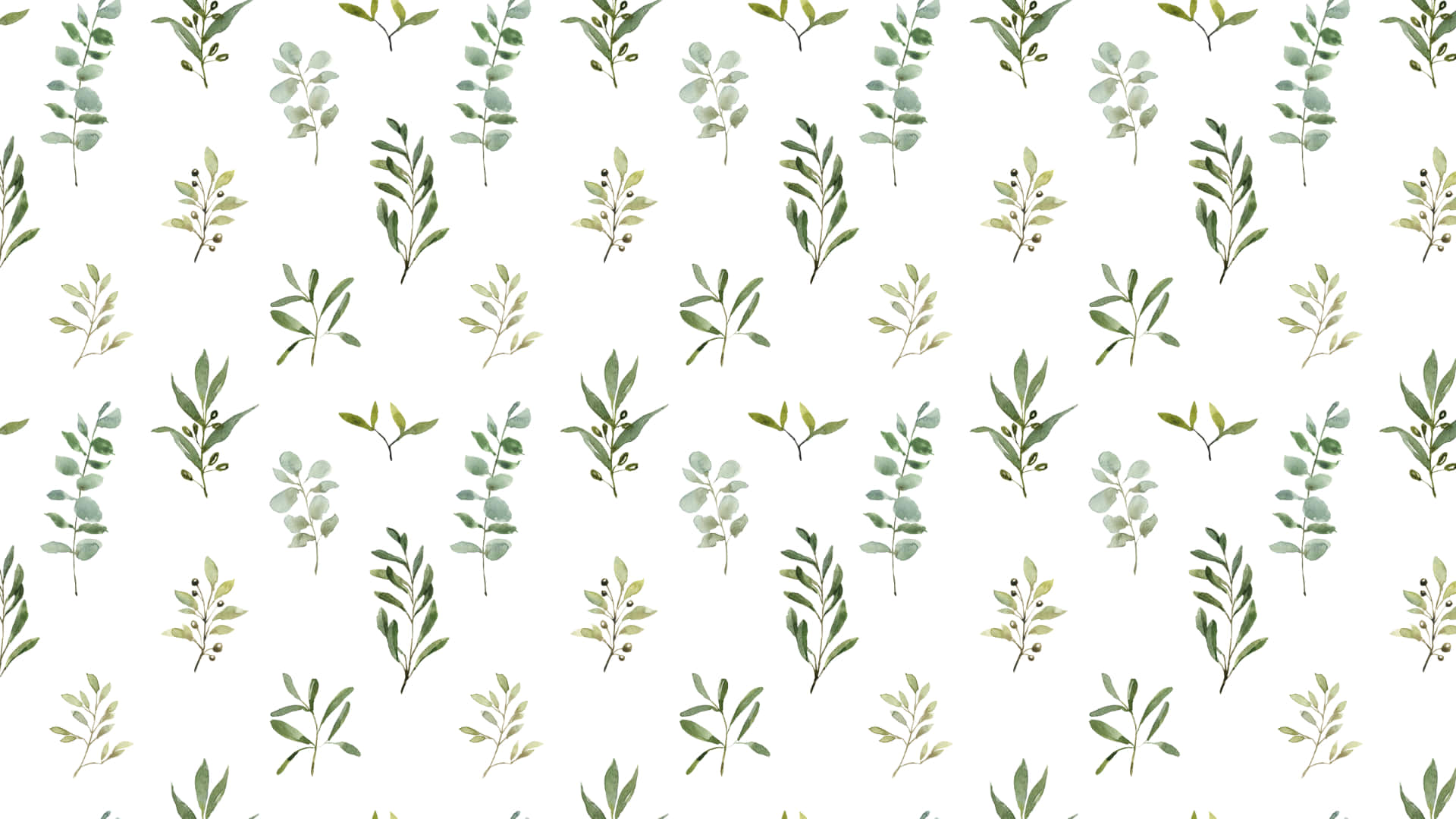 The Perfect Sage Green Laptop For Wherever Life Takes You. Background