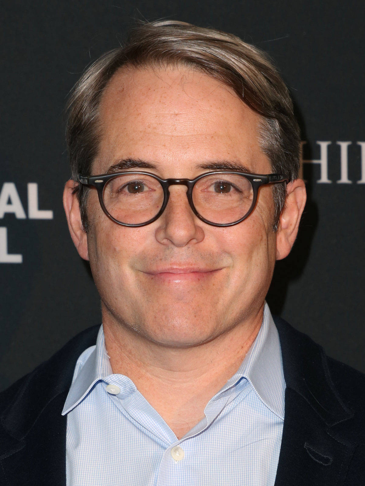 The Philanthropist Protagonist Matthew Broderick