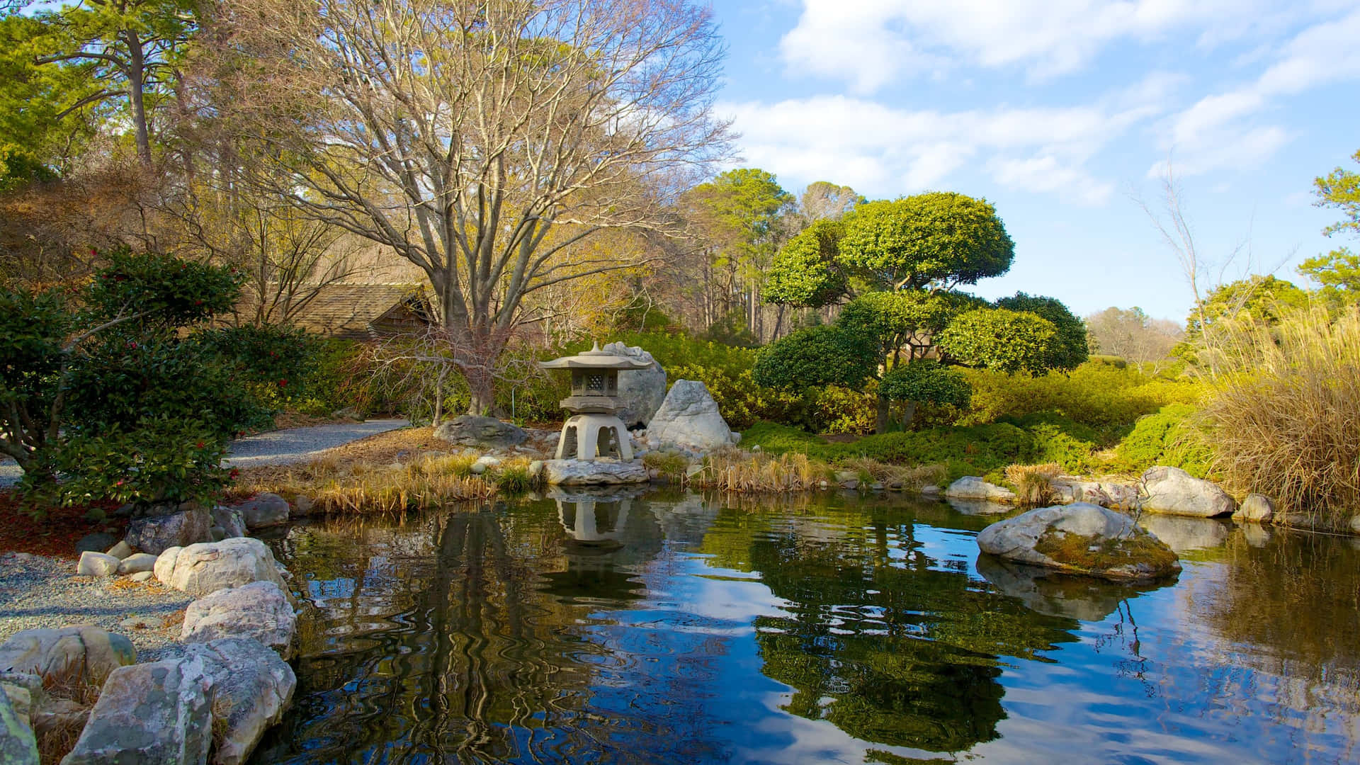 The Pond In The Norfolk Botanical Garden Background