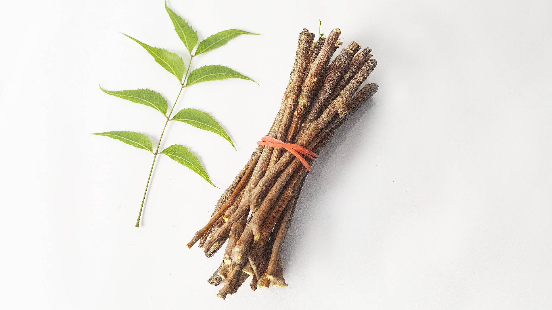 The Power Of Neem In Ayurveda