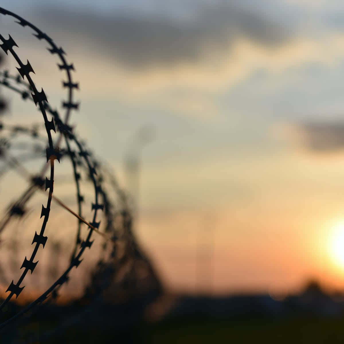The Power Of Punishment - Prison As Punitive Justice System Background