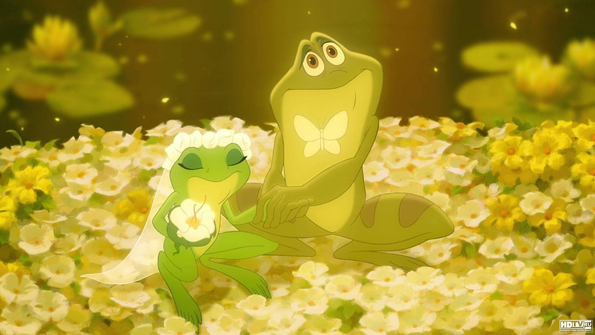 The Princess And The Frog Wedding Background