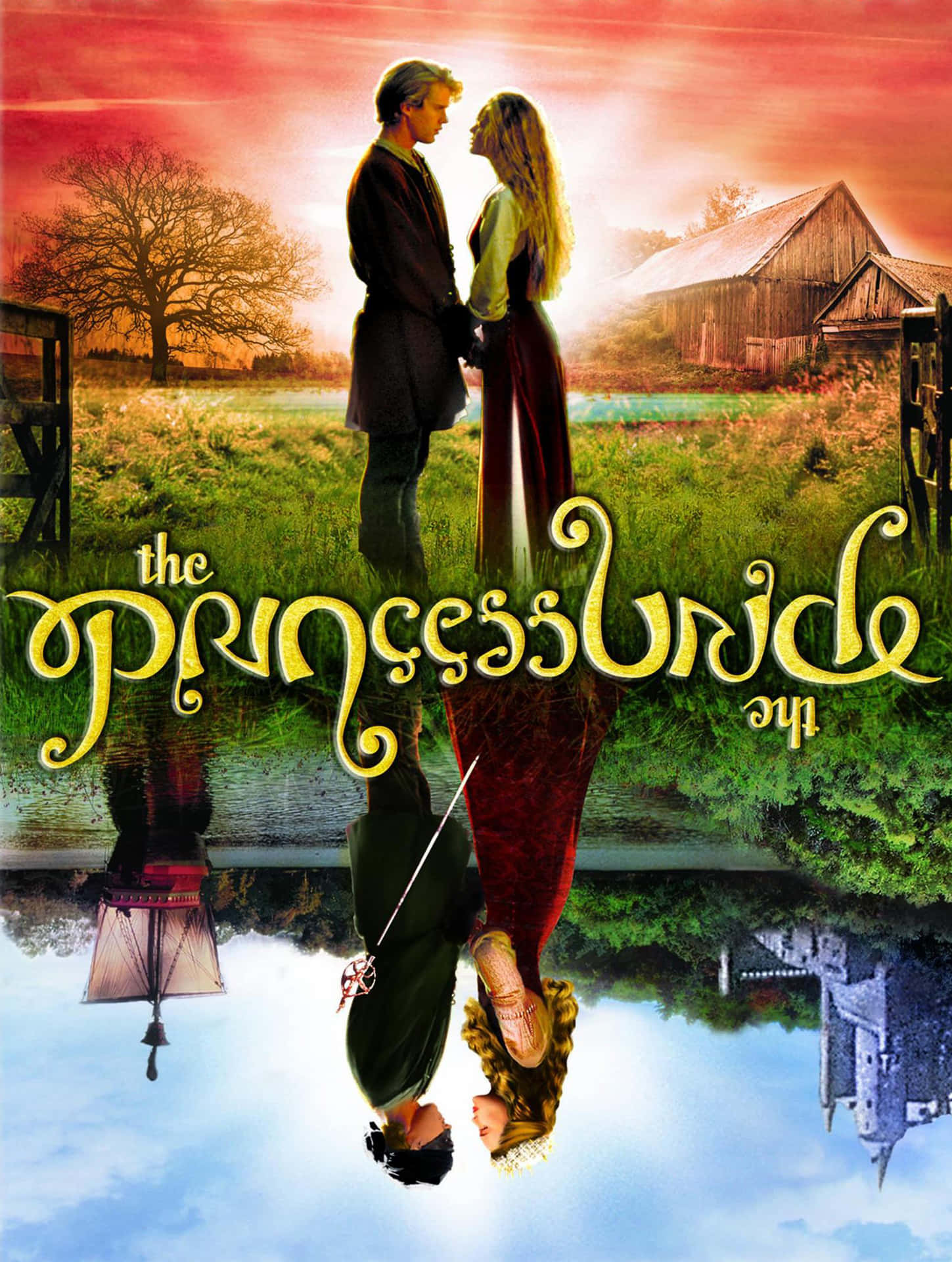 The Princess Bride Movie Poster Background