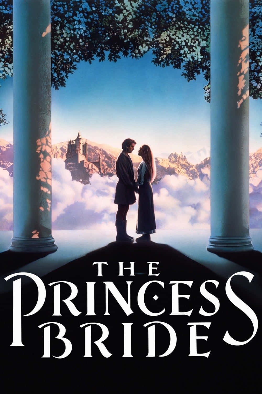 The Princess Bride Movie Poster Background