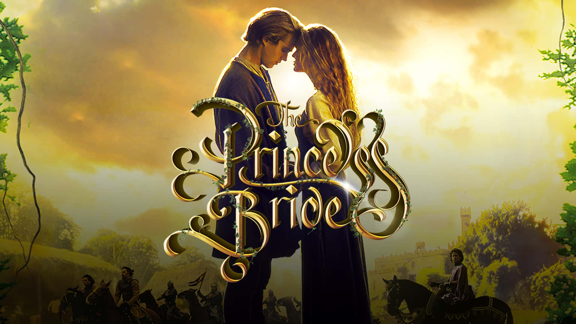 The Princess Bride Movie Poster Background