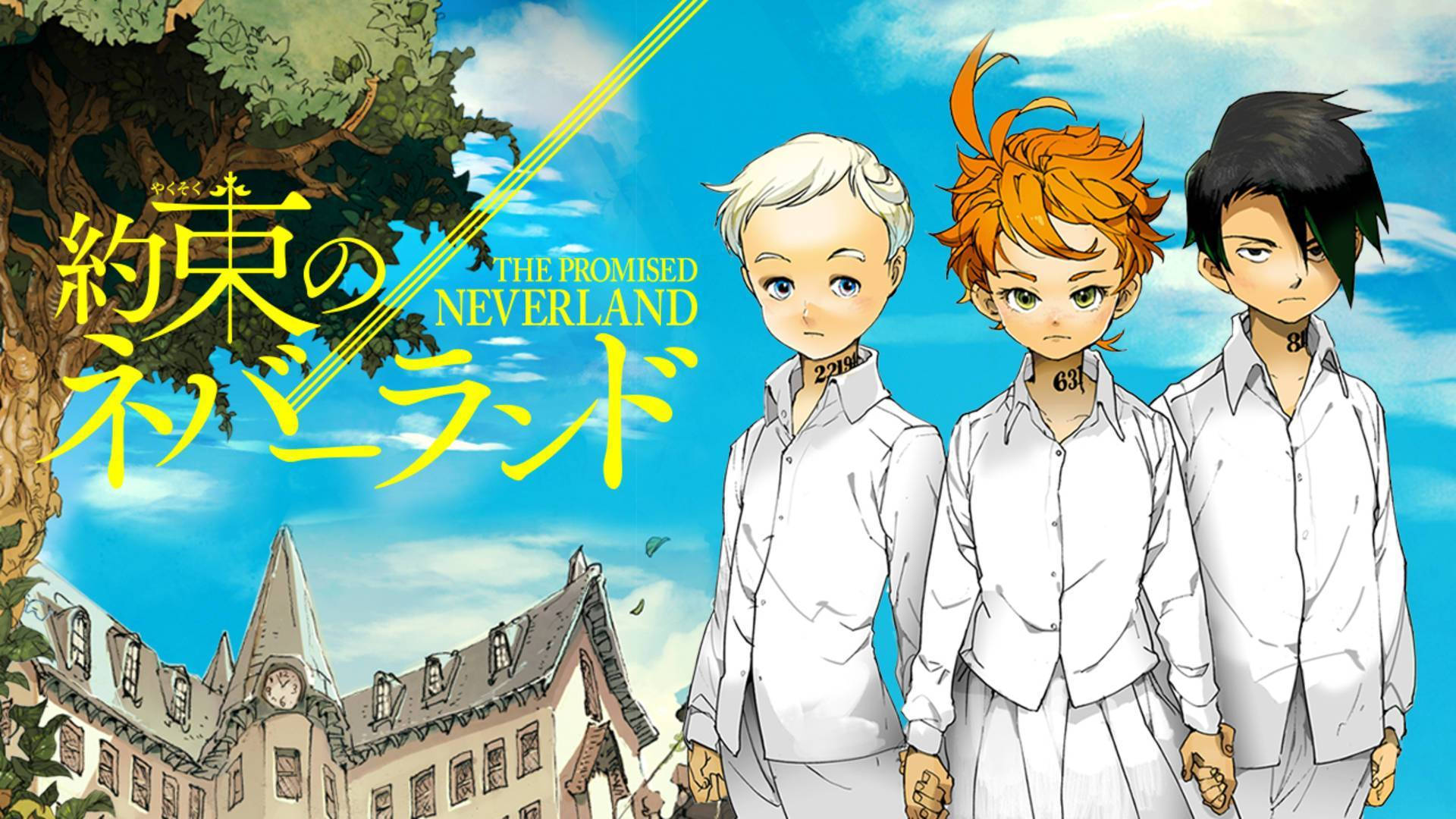 The Promised Neverland Tv Anime Background