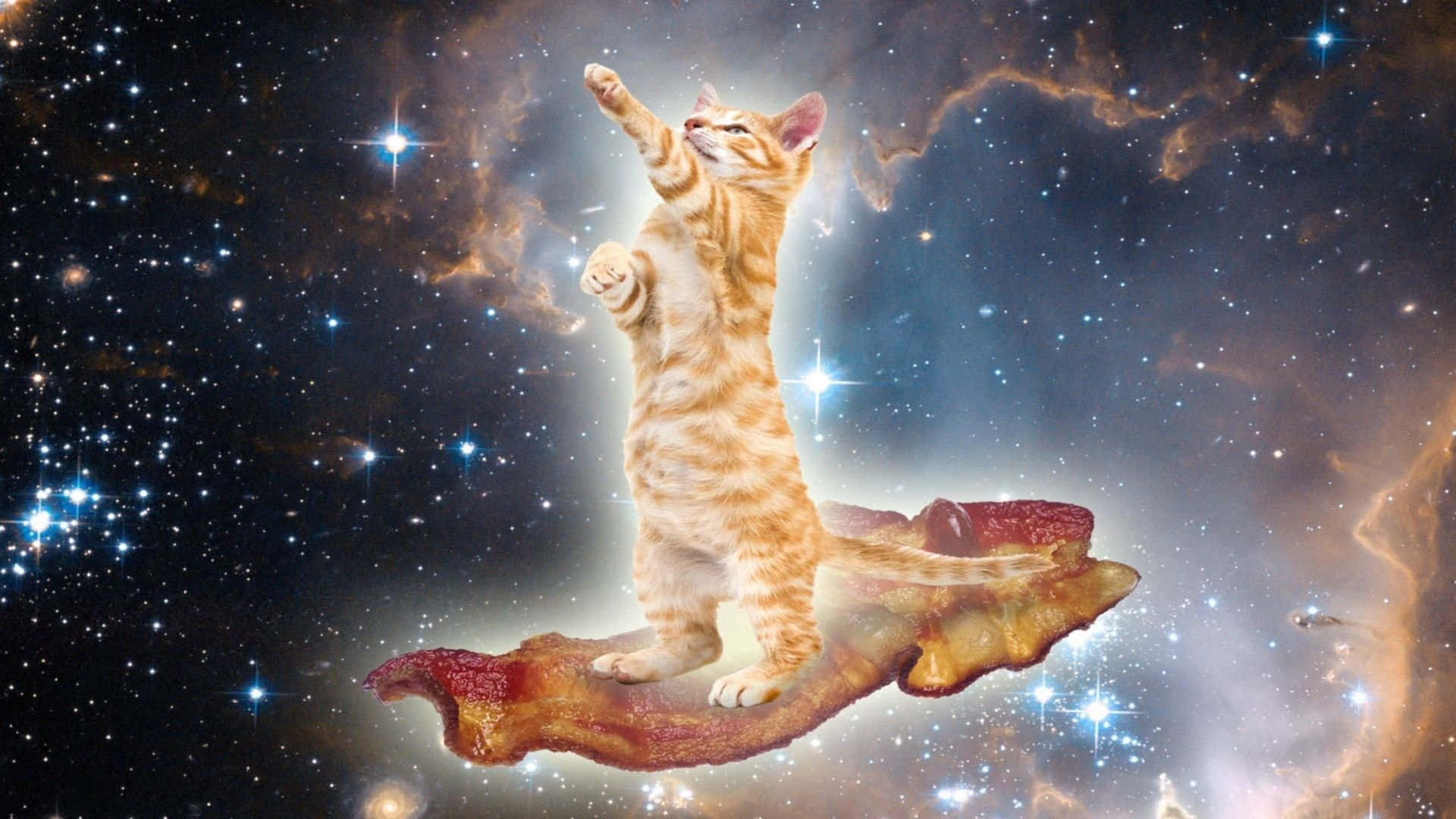 The Purr-fect Adventurers- Cats Explore The Unknown Depths Of Outer Space! Background