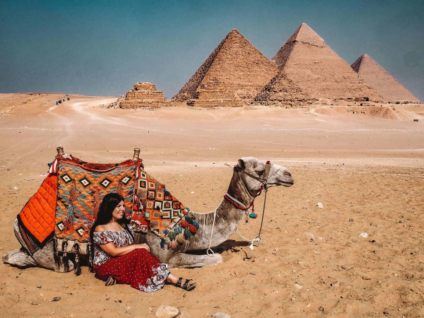 The Pyramids Of Giza Woman Leaning On A Camel Background