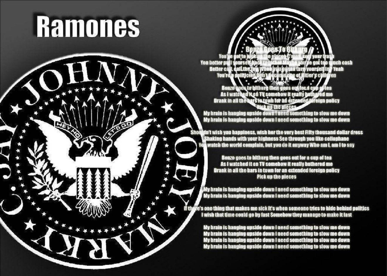 The Ramones Eagle With Bonzo Goes To Bitburg Lyrics Illustration Background