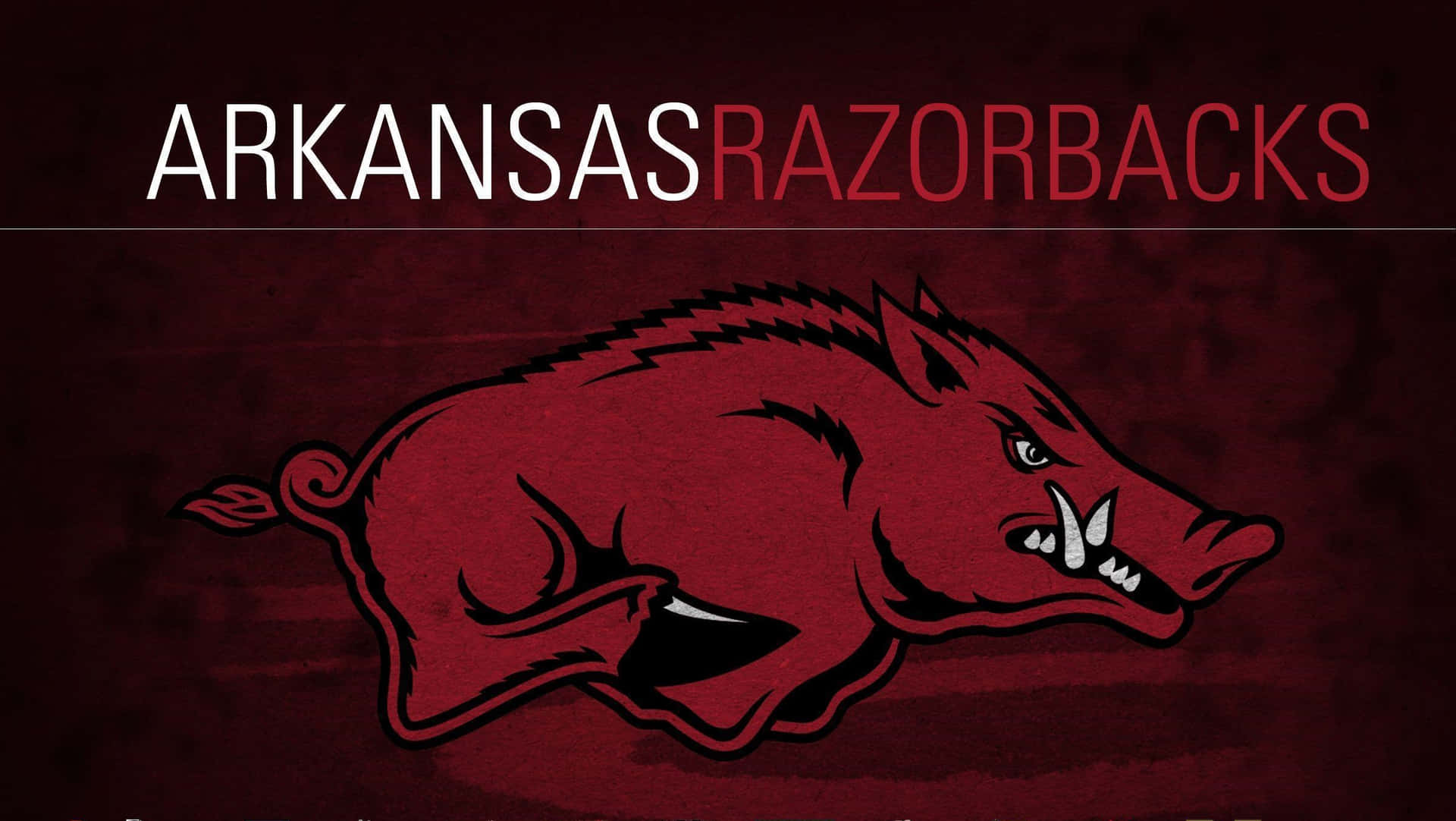 The Red And White Of The Arkansas Razorbacks! Background