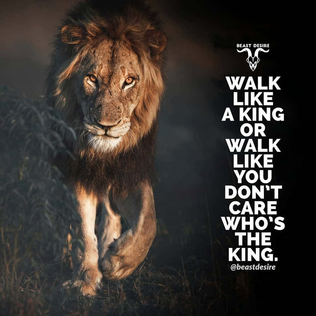 “the Roar Of A Lion Is The Most Powerful Sound In The Animal Kingdom.” Background