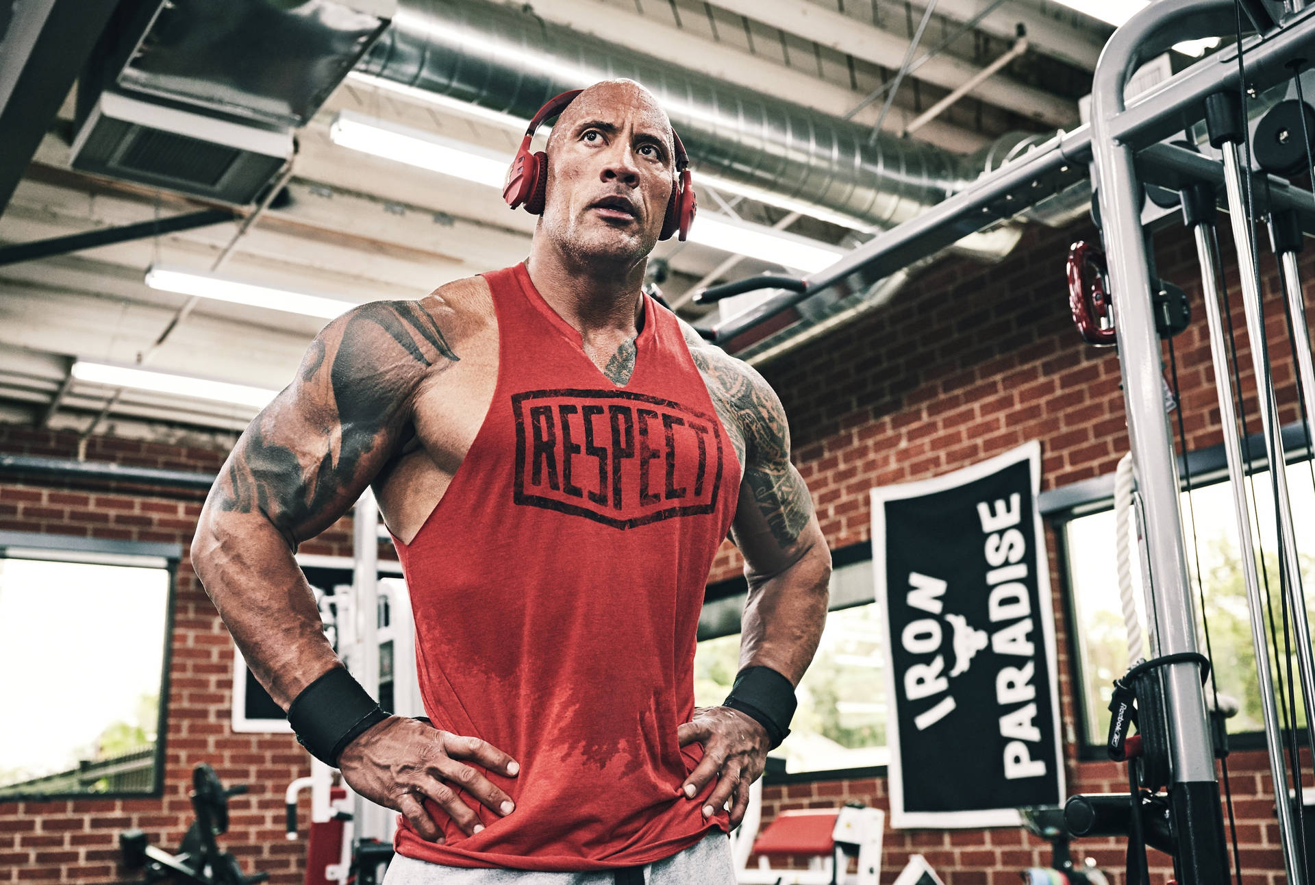 The Rock At The Gym Background