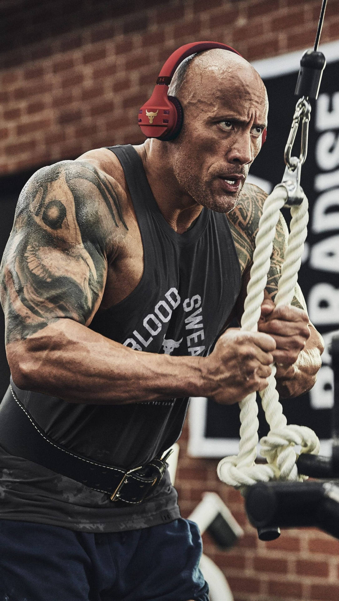 The Rock In Gym Training Background