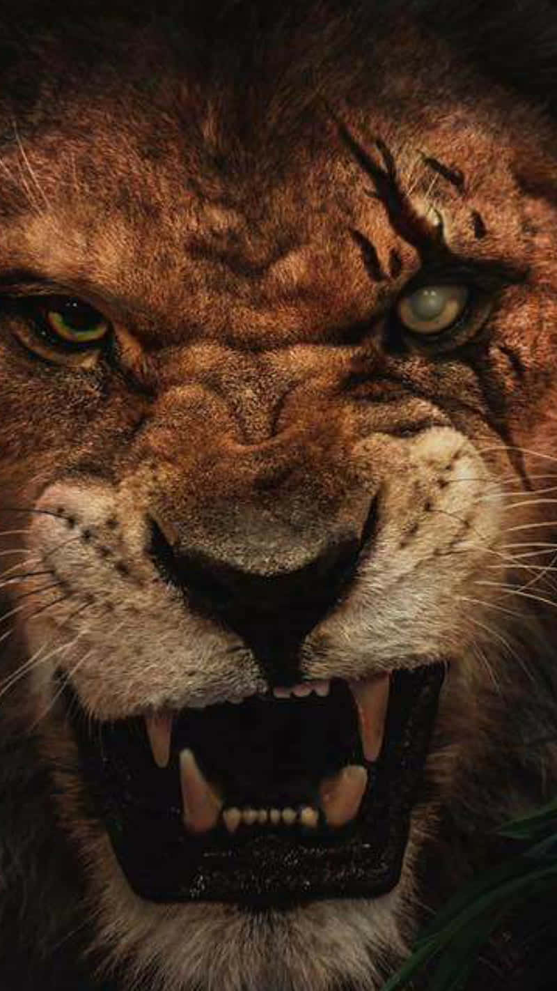 The Ruthless Uncle: Scar From Disney's The Lion King Background