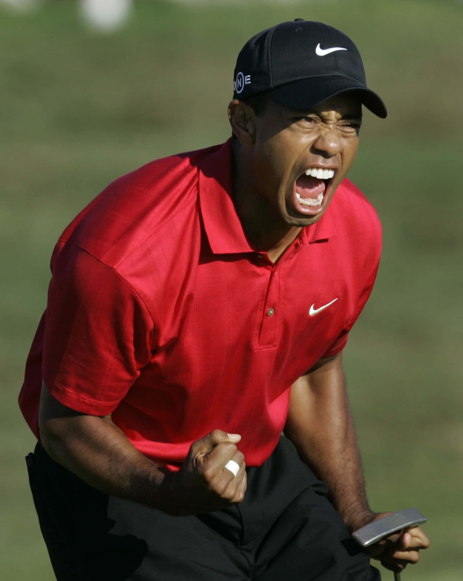 The Scream Of Tiger Woods Iphone Background