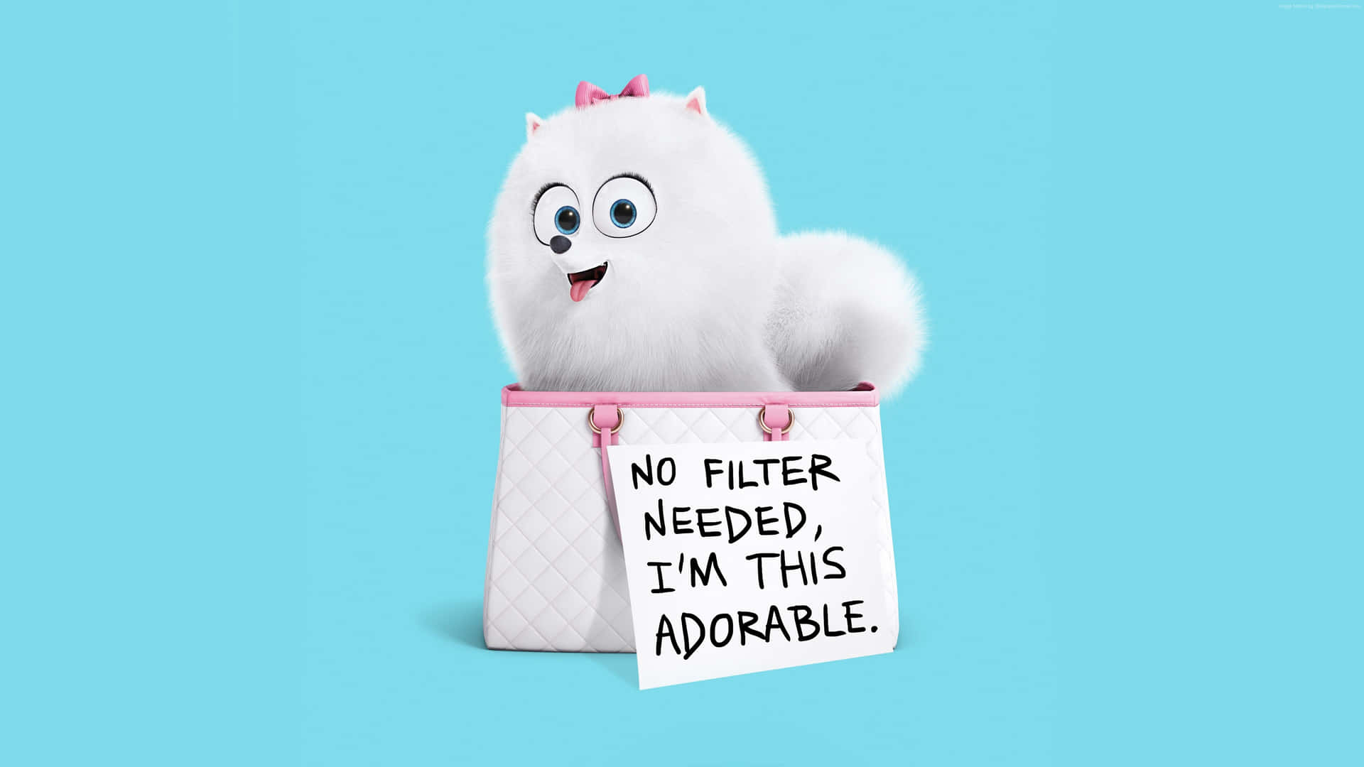 The Secret Life Of Pets 2 Adorable Gidget Background