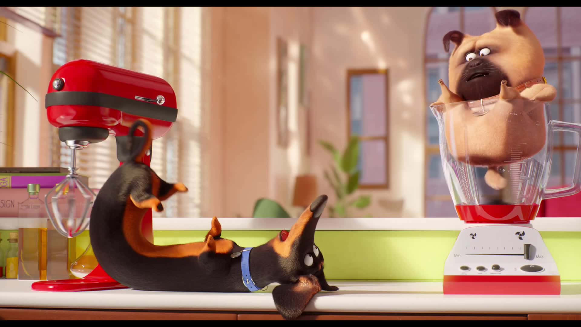 The Secret Life Of Pets 2 Mel And Buddy Background