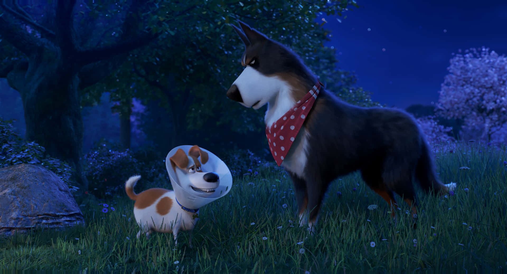 The Secret Life Of Pets 2 Rooster And Max Background