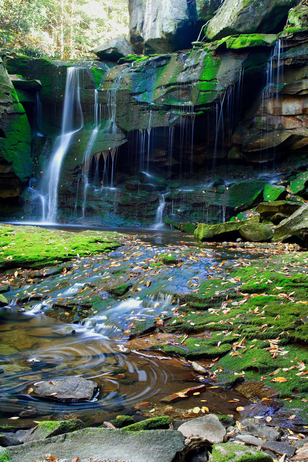 The Serene Natural Beauty Of A Green Valley Background