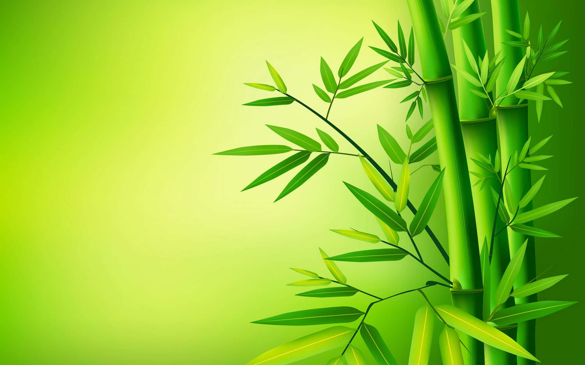 The Serenity Of A Beautiful Green Bamboo Forest Background