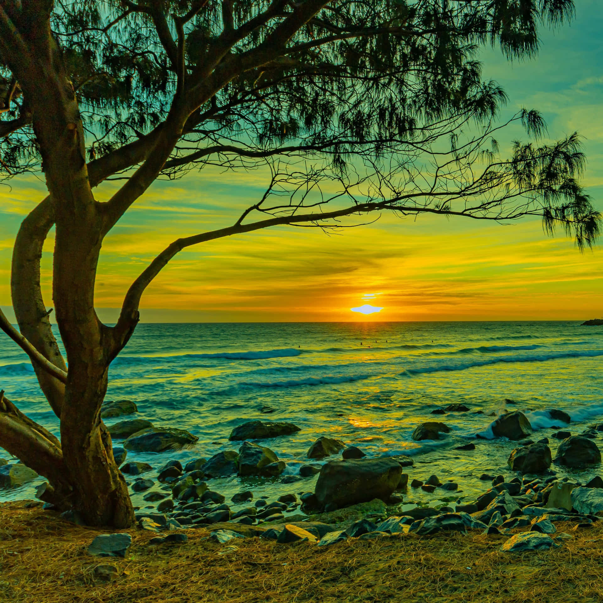 The Shoreline On A Beautiful Day. Background