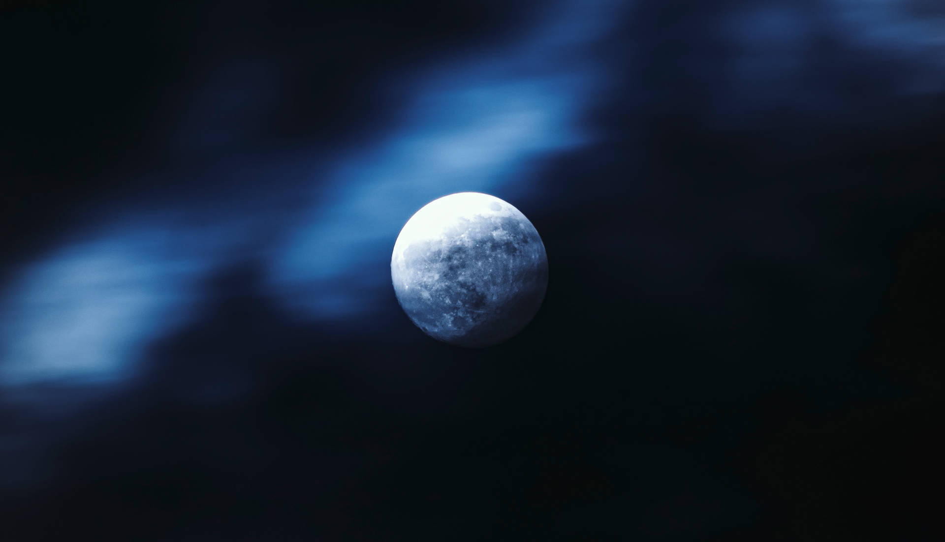 The Silhouetted Trees Framed By A Full Moon In A Dim Sky