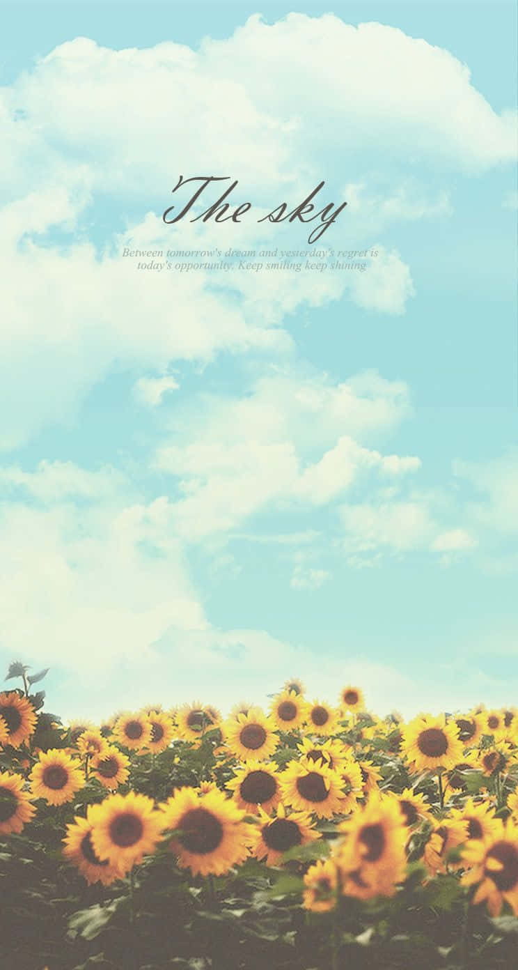 The Sky Sunflower Quotes