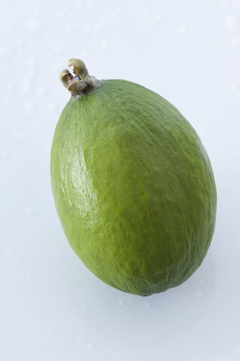 The Solo Feijoa