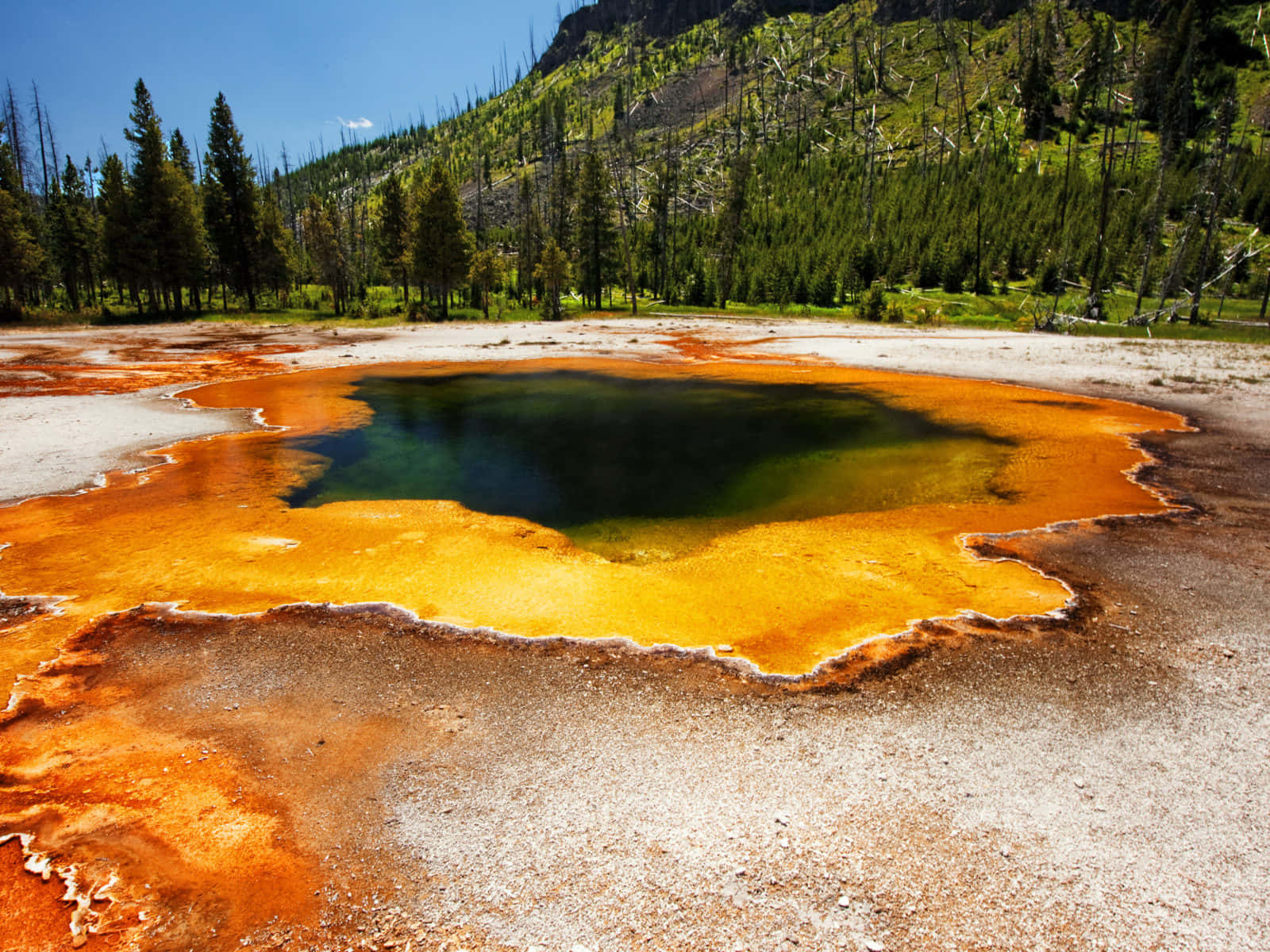 The Spectacular Sights Of Yellowstone National Park Background