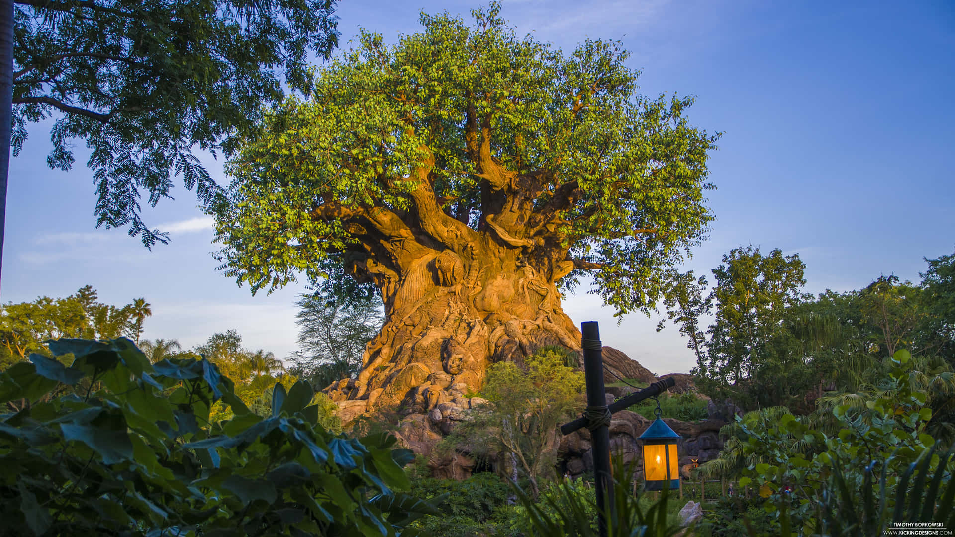 The Splendor Of The Tree Of Life