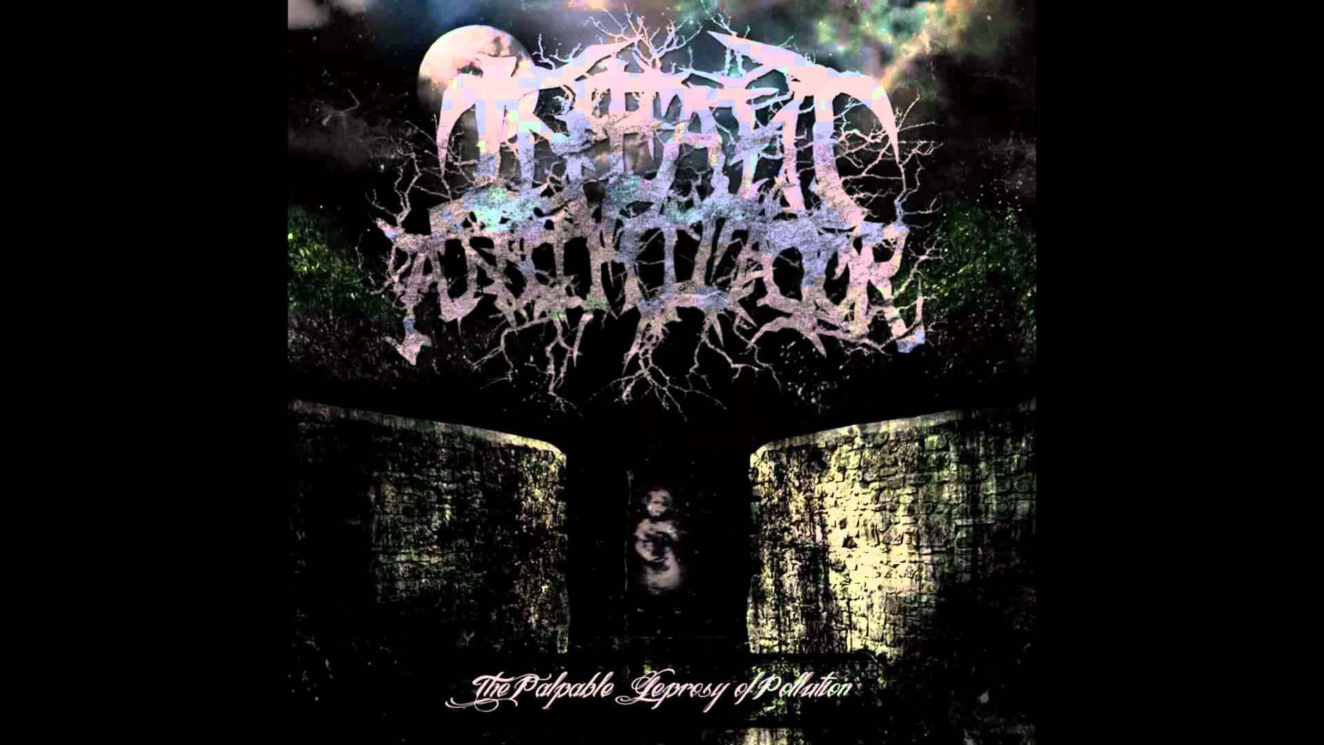 The Stark Reality Of Pollution