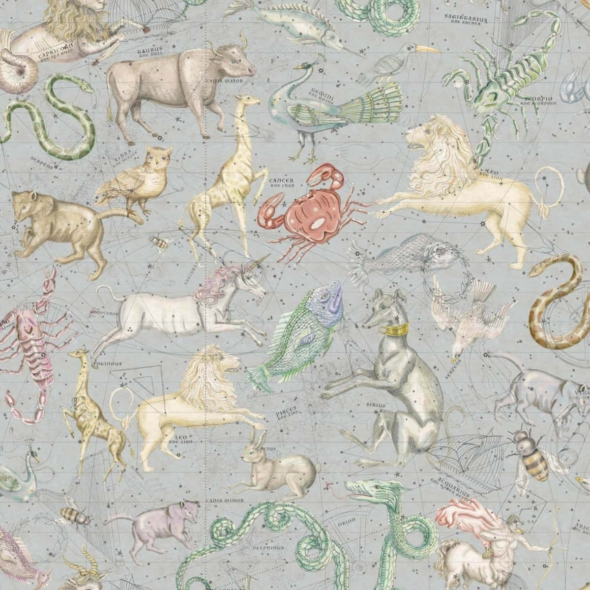 The Stars And Planets Align In The Always Beautiful Aesthetic Astrology Background