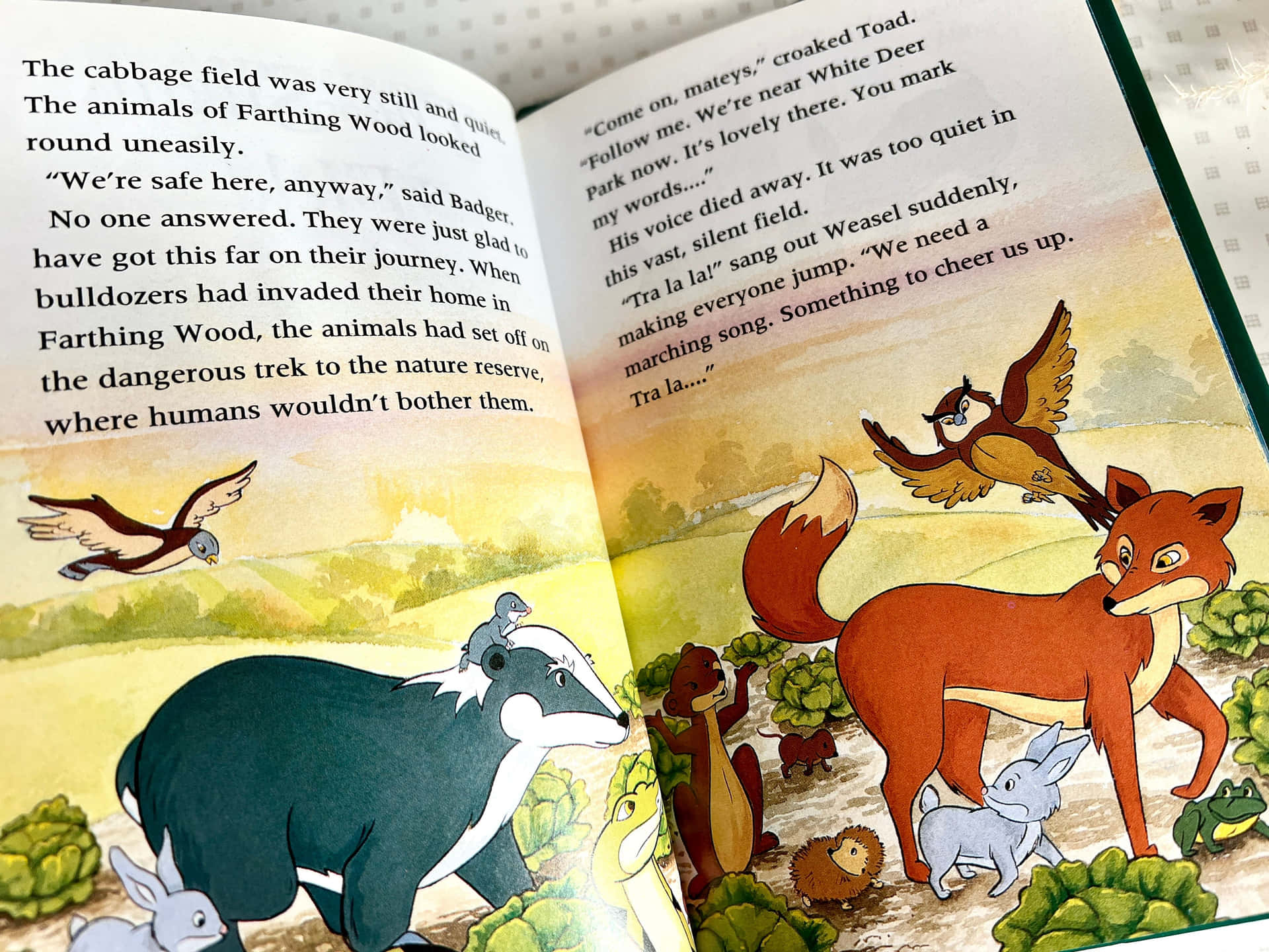 The Story Book The Animals Of Farthing Wood Background