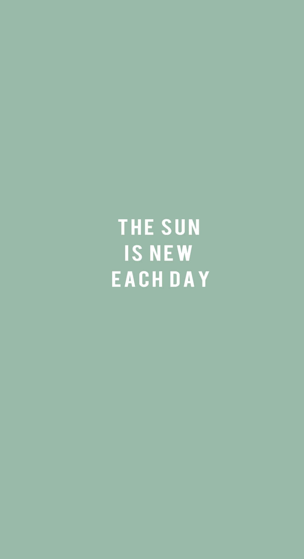 The Sun Is New Each Day Cute Sage Green Background