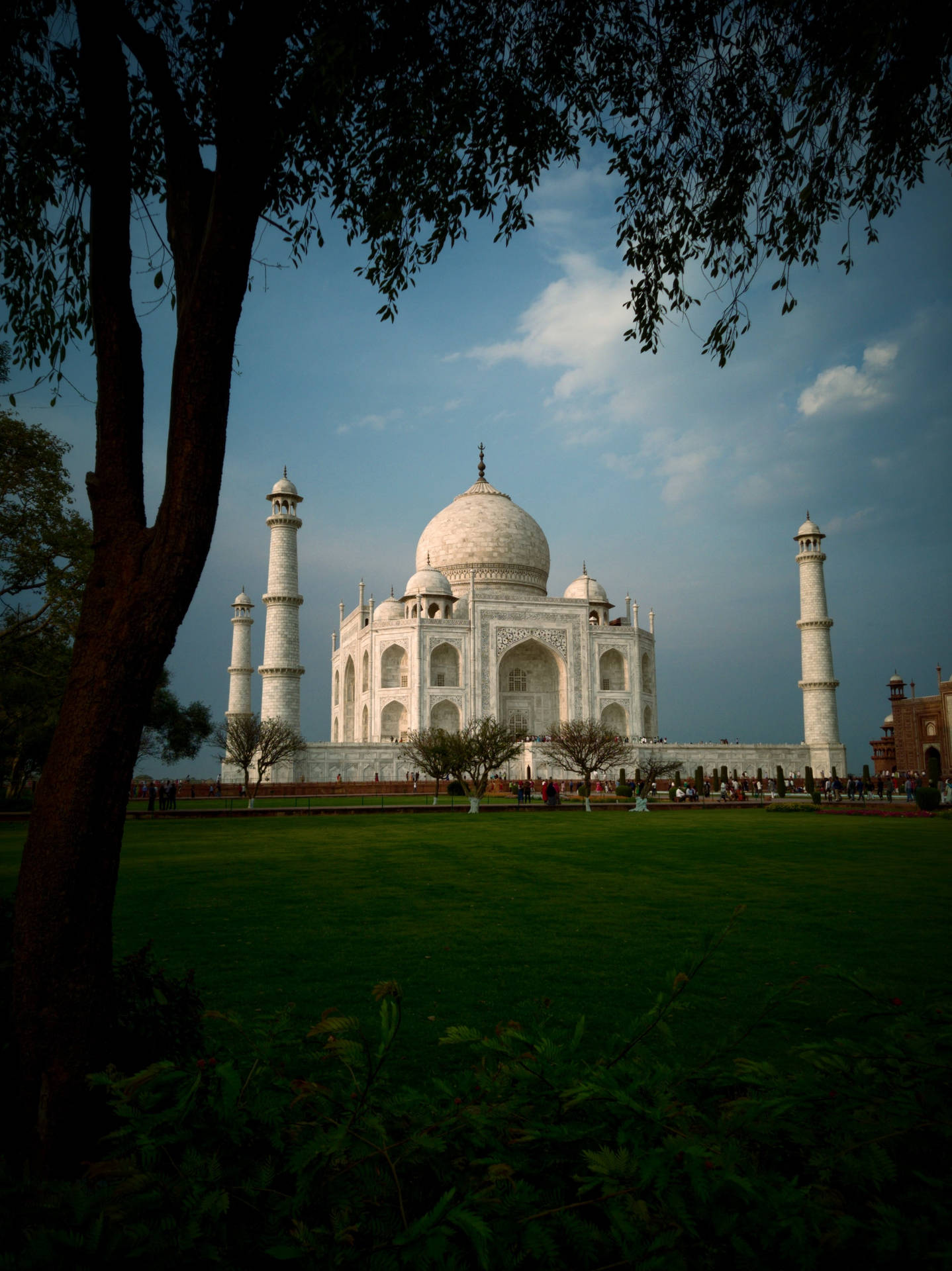 The Taj Mahal And The Meadows Background